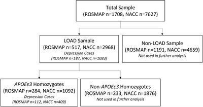 Polygenic Risk Score Effectively Predicts Depression Onset in Alzheimer’s Disease Based on Major Depressive Disorder Risk Variants